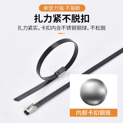 304自锁式金属包塑不锈钢扎带包皮绝缘船用固定钢丝捆扎 包塑扎带图2