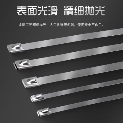 304不锈钢扎带自锁钢珠扎带船舶防锈防腐白钢捆绑带卡扣盘带抱箍图4