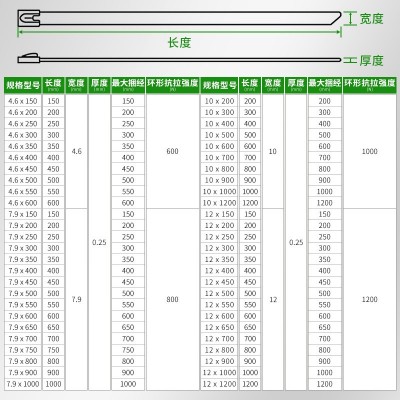 304不锈钢扎带自锁钢珠扎带船舶防锈防腐白钢捆绑带卡扣盘带抱箍图3