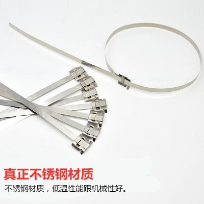 304不锈钢扎带 厂家杆号牌标牌船用设备打包束线固定自 锁式绑带图3