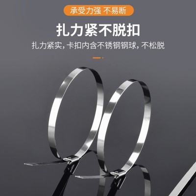 304金属自锁式船用桥架固定钢丝紧固器捆扎束缚绑扎带不锈钢扎带图3