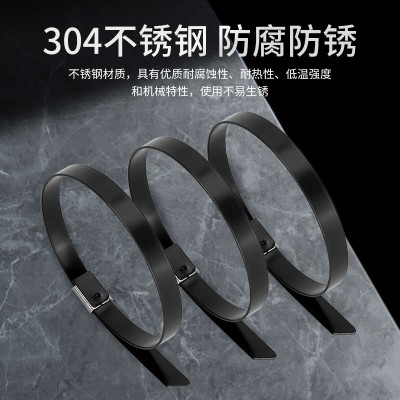 16*500包塑不锈钢扎带自锁式金属绝缘船用固定捆扎束缚绑打包X20图3