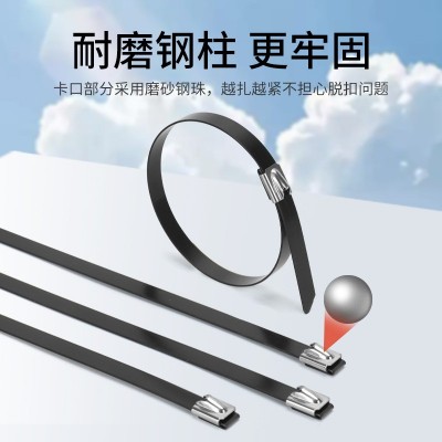 16*500包塑不锈钢扎带自锁式金属绝缘船用固定捆扎束缚绑打包X20图5