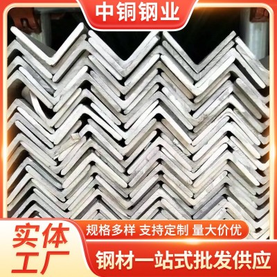 厂家批发不锈钢型材 TP304L TP316L青山不锈钢角钢 可按要求加工