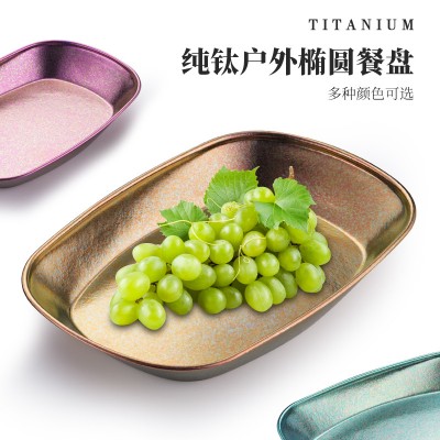 纯钛鱼盘家用果盘客厅零食盘茶几点心盘子高级水果盘家用零食碟子图4